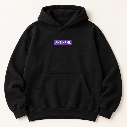 Mockup konsep AntiNRML Box Logo Hoodie — desain merch sementara, bukan foto barang produksi.